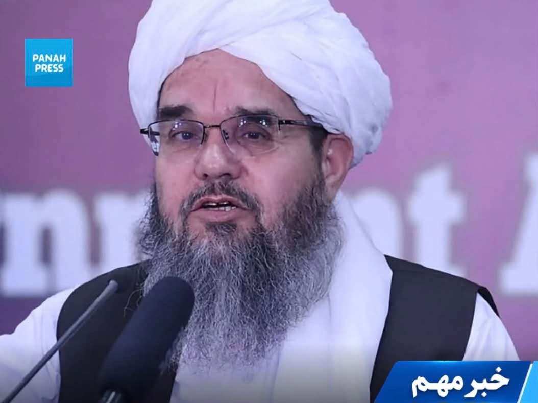 شهاب‌الدین دلاور: در توافق‌نامه دوحه از زنان و تشکیل حکومت فراگیر تعهدی وجود ندارد