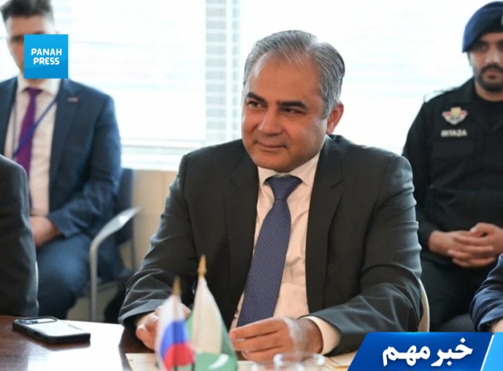 وزیر داخلهٔ پاکستان: ۸۰ درصد افراد دخیل در حملات تروریستی از افغانستان می‌آیند
