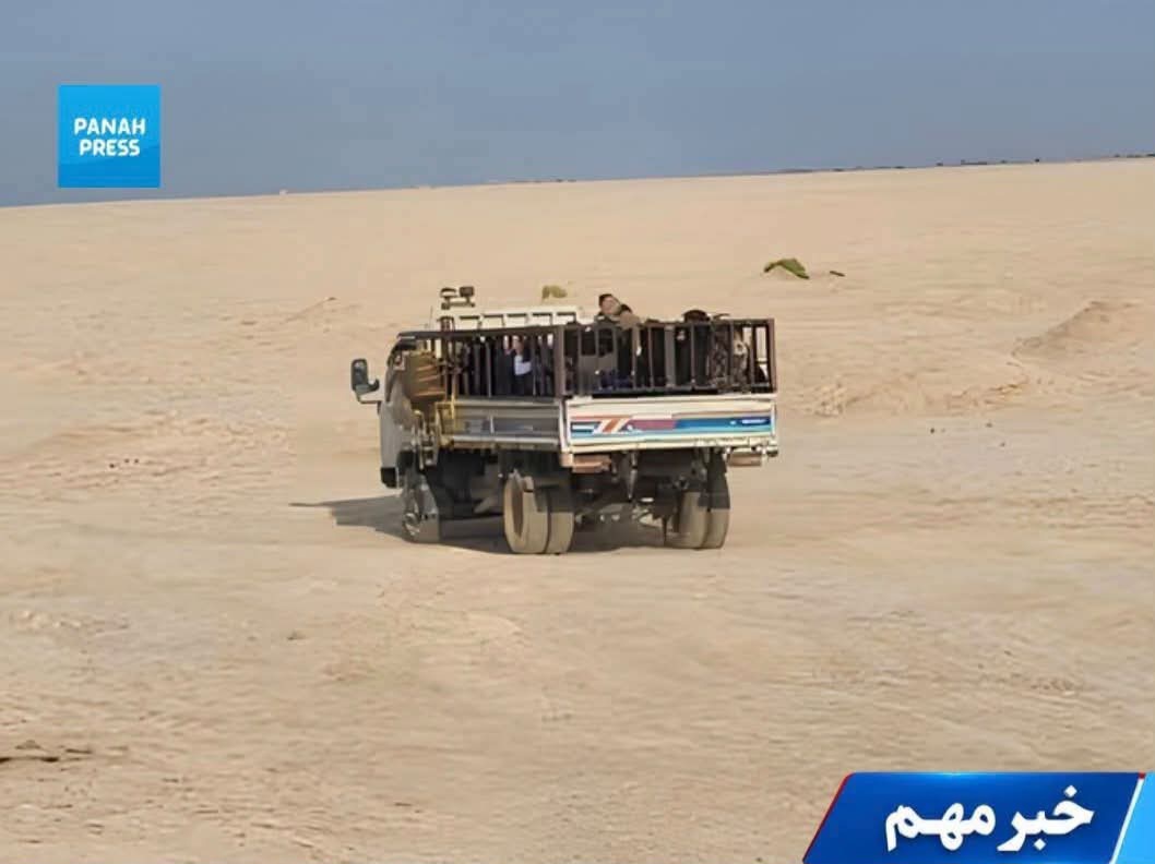 طالبان ۸۴ شهروند افغانستان، به‌شمول زنان و کودکان، را هنگام تلاش برای رفتن به ایران در فراه بازداشت کرد.